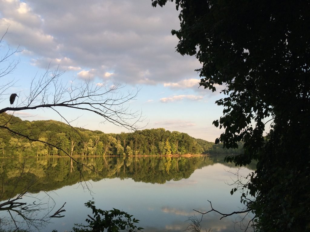 Radnor Lake