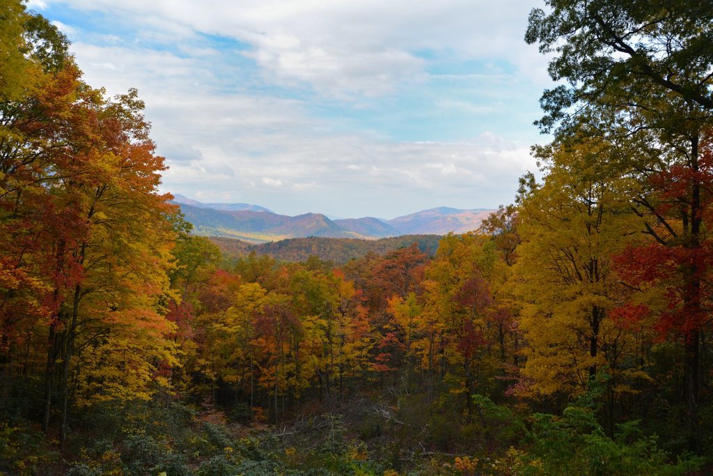 National Parks in the USA: Smoky Mountains National Park