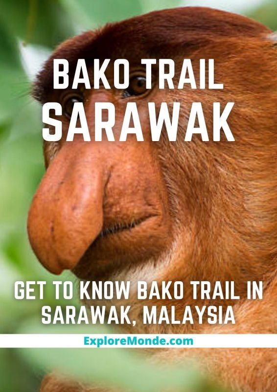 BAKU TRAIL IN SARAWAK