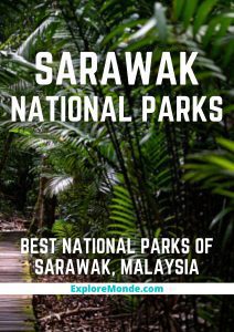 Sarawak: 6 Best National Parks Of Sarawak, Malaysia To Go Wild In!