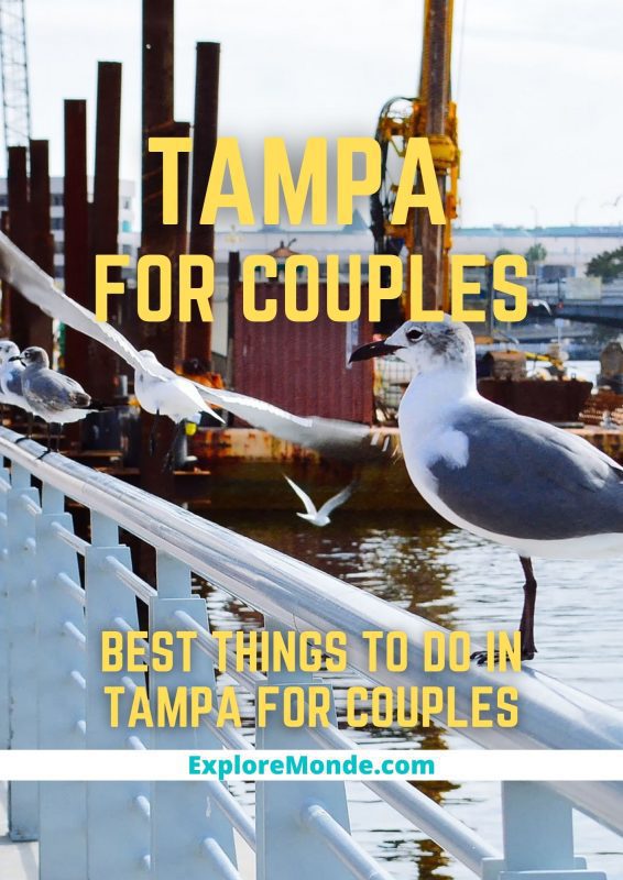 14 BEST Things To Do For Couples in Tampa, Florida