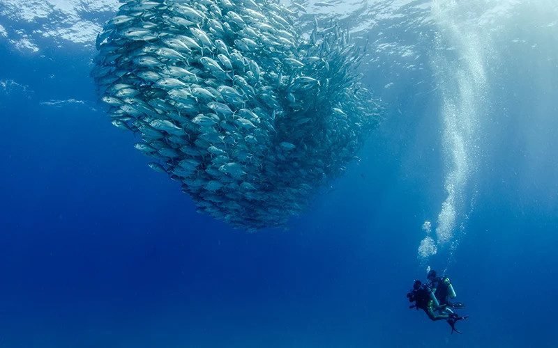 Scuba diving places in Mexico