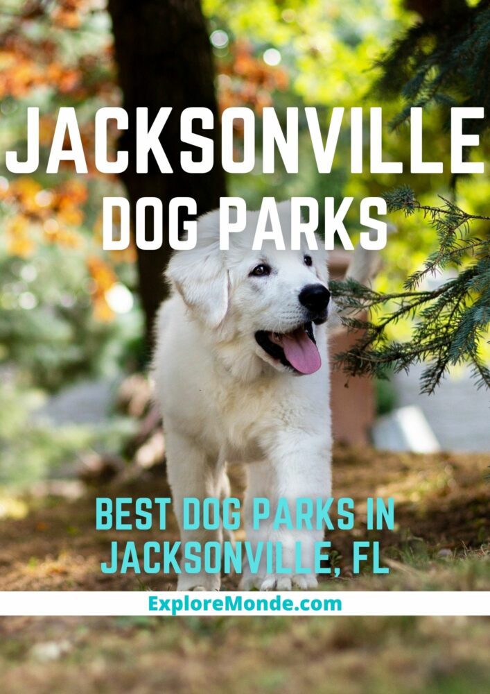 8 Best Dog Parks In Jacksonville, Florida [2023]