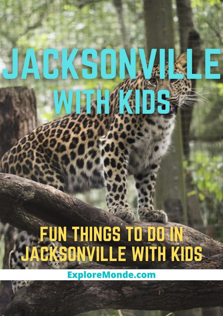 FUN THINGS TO DO IN JACKSONVILLE WITH KIDS