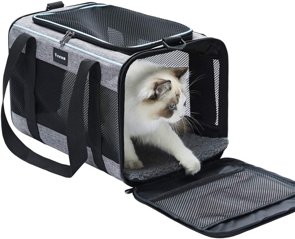 How To Travel With Cats: Cat Carriers For Long-distance car travel