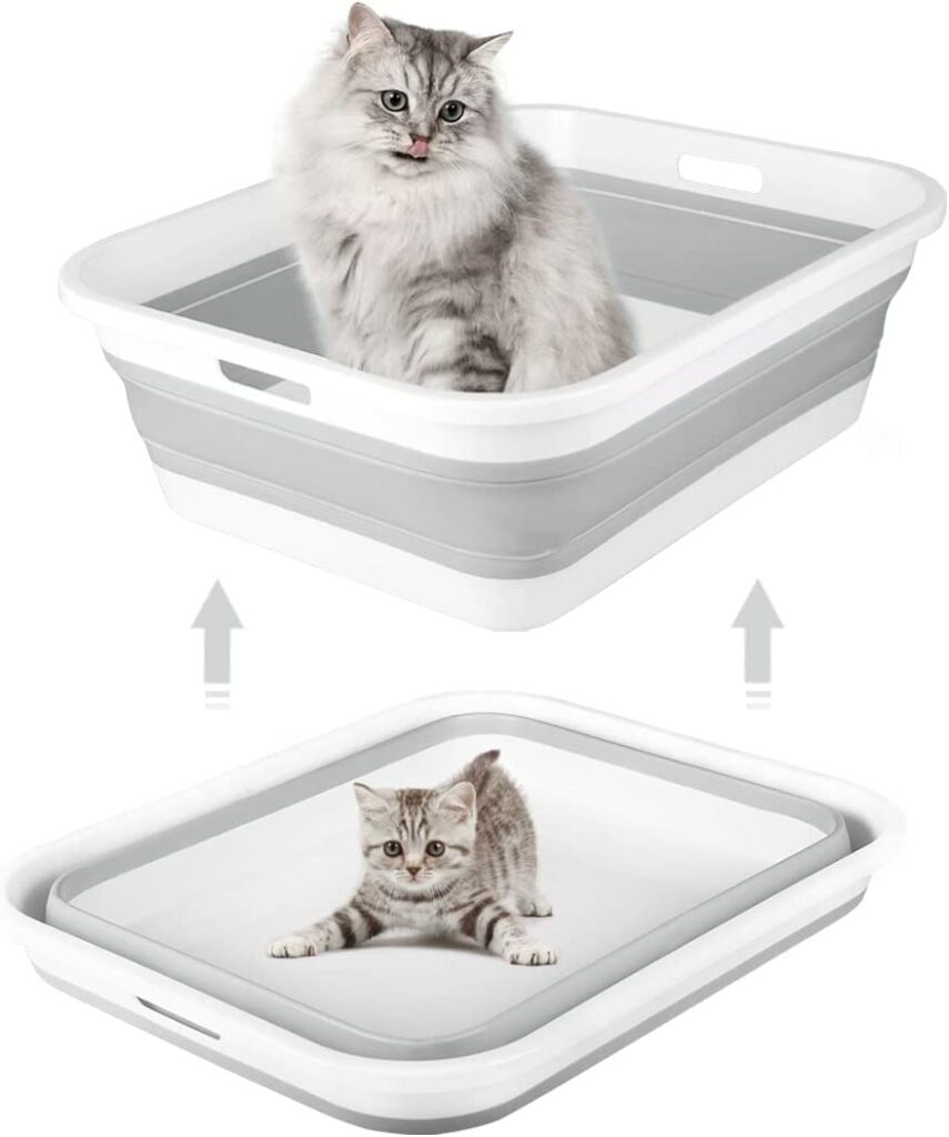 How To Travel With Cats: Cat Travel Litter Boxes