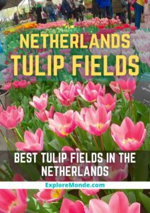 11 Best Netherlands Tulip Fields: Keukenhof Gardens and More