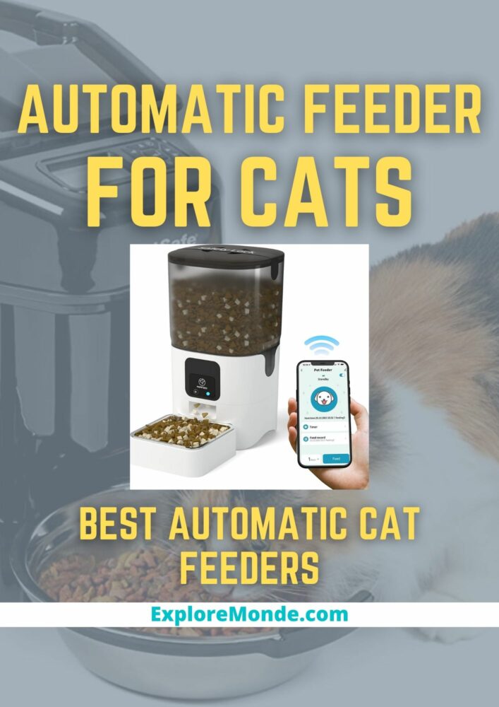 BEST AUTOMATIC CAT FEEDERS