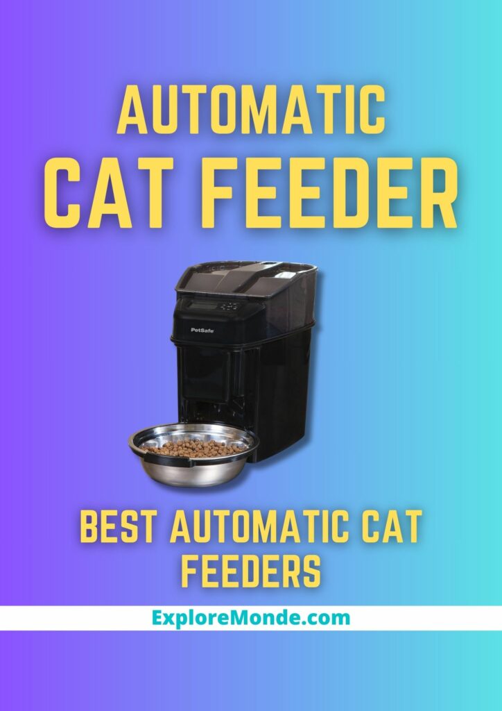 10 Best Automatic Cat Feeders with Collar Sensor Or Connected Apps