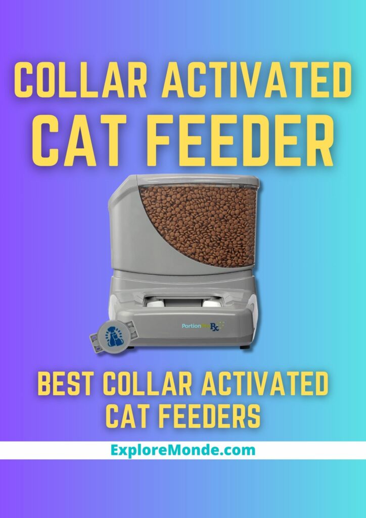 Top 2 Best Collar Activated Cat Feeders Available Online