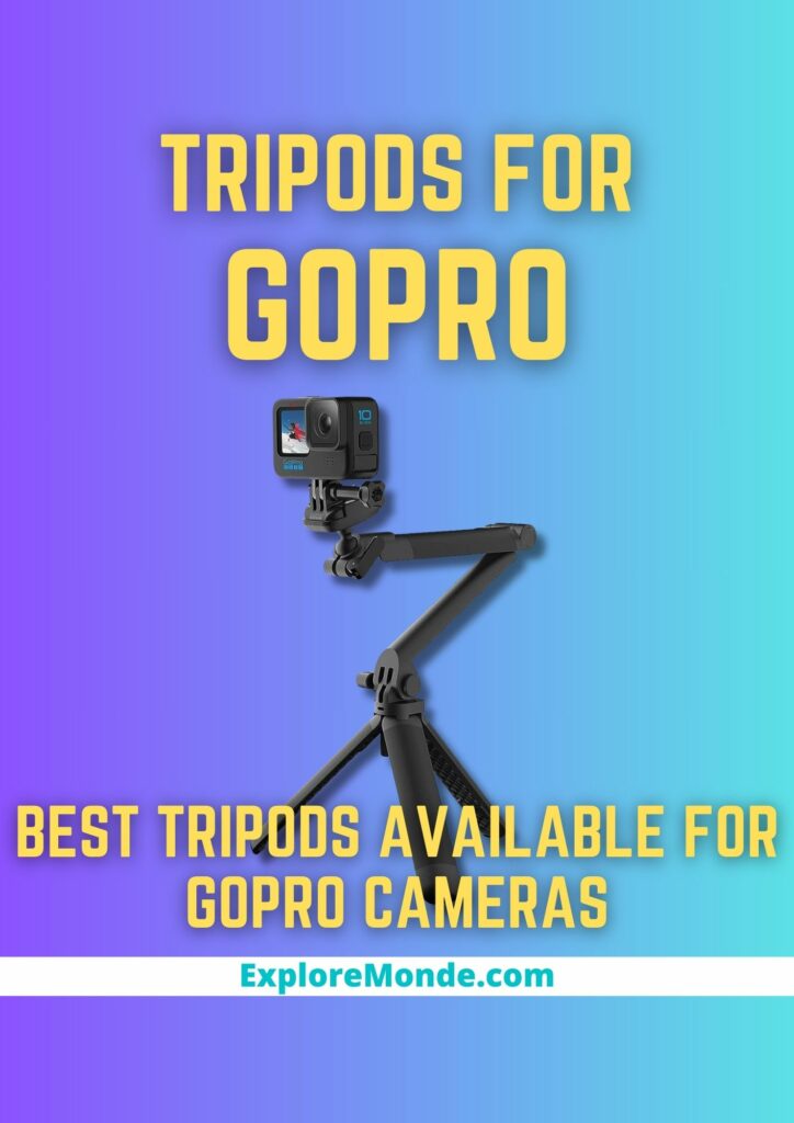 11 Best Tripods For GoPro Cameras [2023]